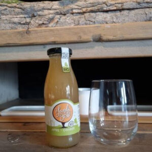 Afbeelding 'sLands Beste appel-gembersap fles van 250 ml